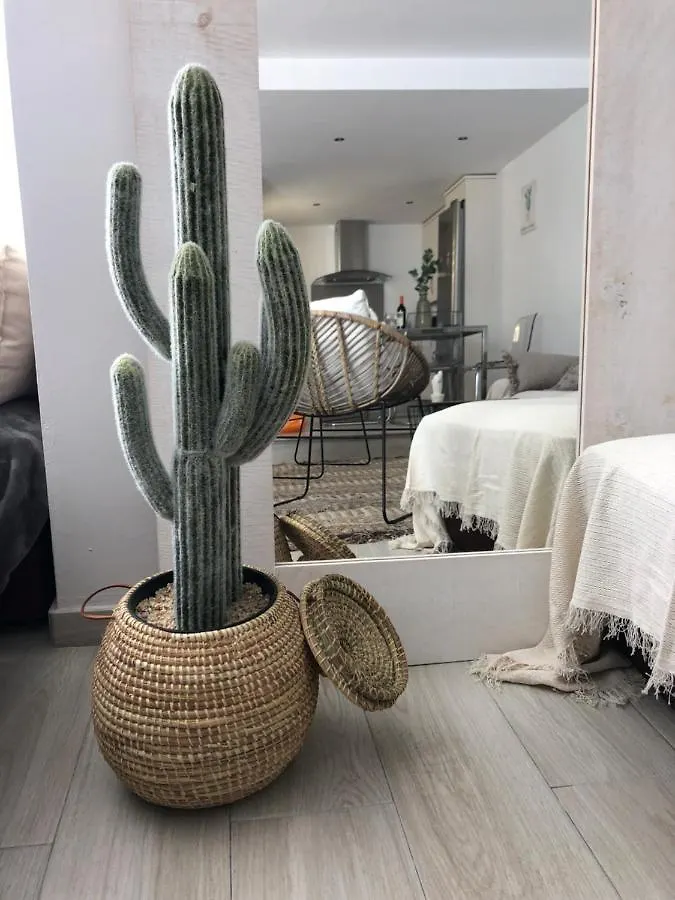 Tarifamicasa Mar Tirreno Villa Tarifa